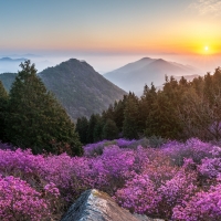 Morning of Cheonjusan