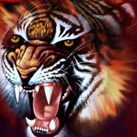 Rage Tiger