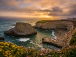 Shark Fin Cove-California