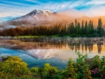 Mount Rainier And Bench Lake National Park, Washington