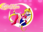sailor moon pink