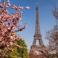 Eiffel Tower - La Tour Eiffel