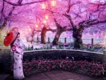 Cherry blossom tree