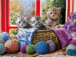 Knittin' Kittens