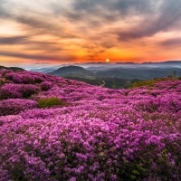 Good morning in Korea