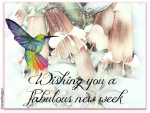 FABULOUS NEW WEEK