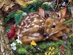 Baby Deer