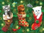 Kittens in a Stocking