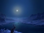 Winter moonlight
