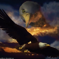 Eagle-painting