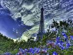 Eifel tower