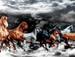 Horses in Clouds