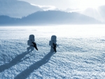Lego Stromtroopers looking for Droids in Snow.