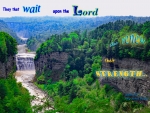 The Lord Renews Strength