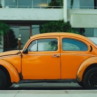beetle