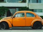 beetle