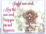 JOYFUL NEW WEEK