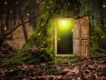 Magical doorway