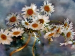 Chamomile Flower Bouquet