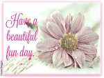 BEAUTIFUL FUN DAY