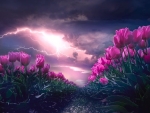 Storm in a Tulip Field