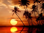 Tahitian Sunset