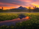 Sparks Lake