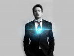 Robert Downey Jr. aka Tony Stark aka Iron Man