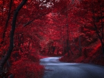 Red Forest