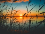 Sunset_Lake
