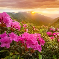 Morning in mountains