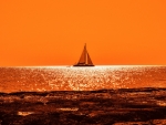 Sailing boat ocean