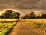 The Country Road