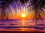 Tropical sunset