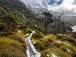 Lake St Clair National park, Tasmania