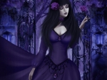 PURPLE FANTASY