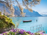 Montreux Lake in Switzerland