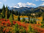 Fall Colors at Mount Rainier, Washington