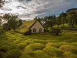 the church with a grass roof