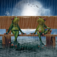 Wet Frog Couple