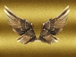 GOLD WINGS