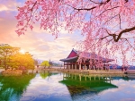 Spring in South Korea