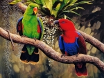 Parrots