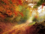 Autumn Path