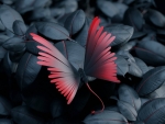 Butterfly Leaves Artwork
