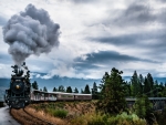 steam locomotive
