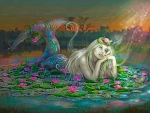 Mermaids Dream