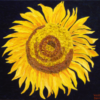 Illuminated Sunflower