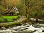cottage by river,