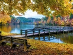 Autumn Bench at the Lake